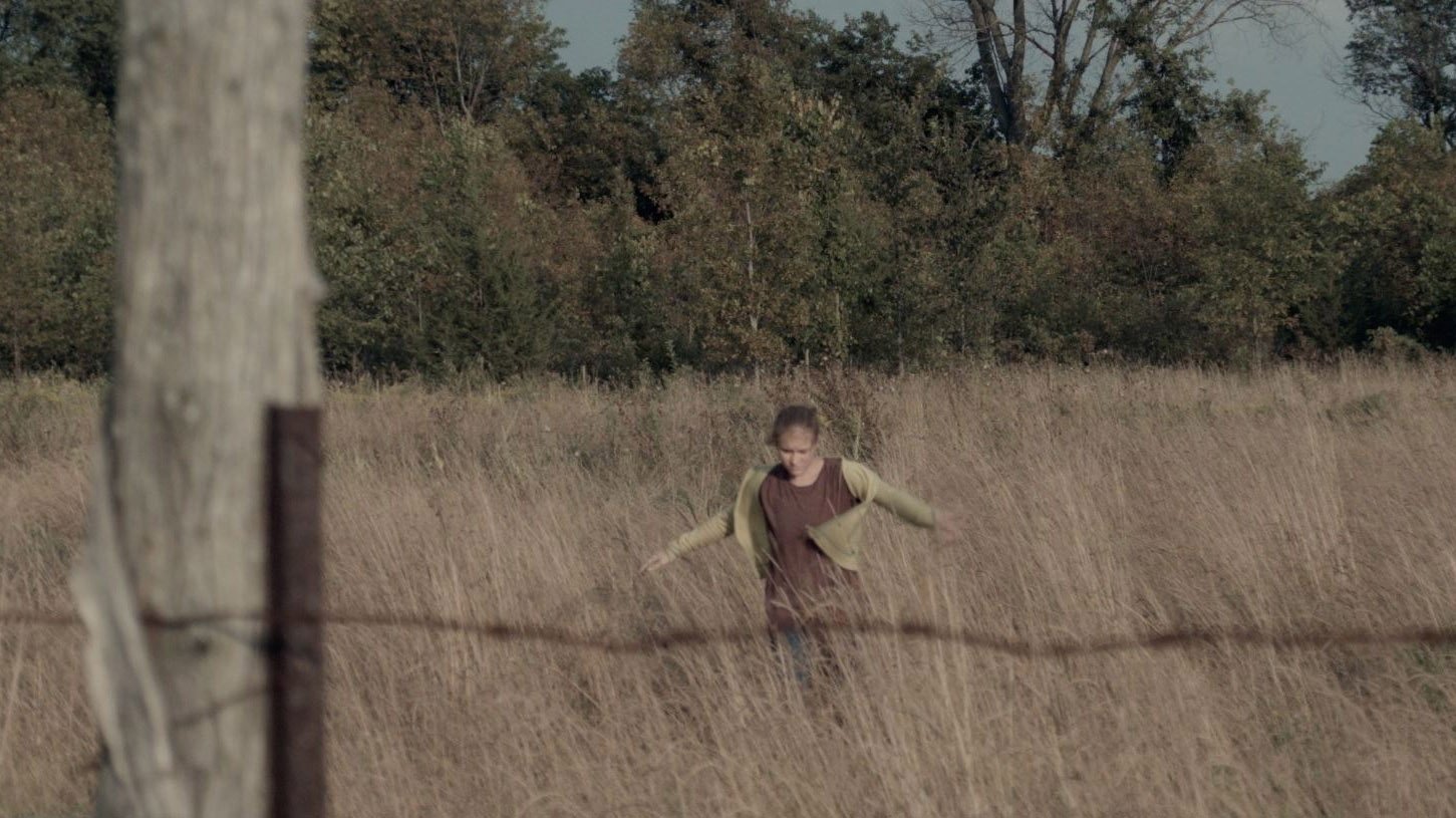 Fault (2015)