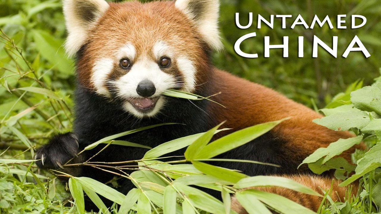 Untamed China