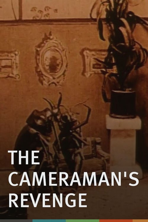 The Cameraman's Revenge