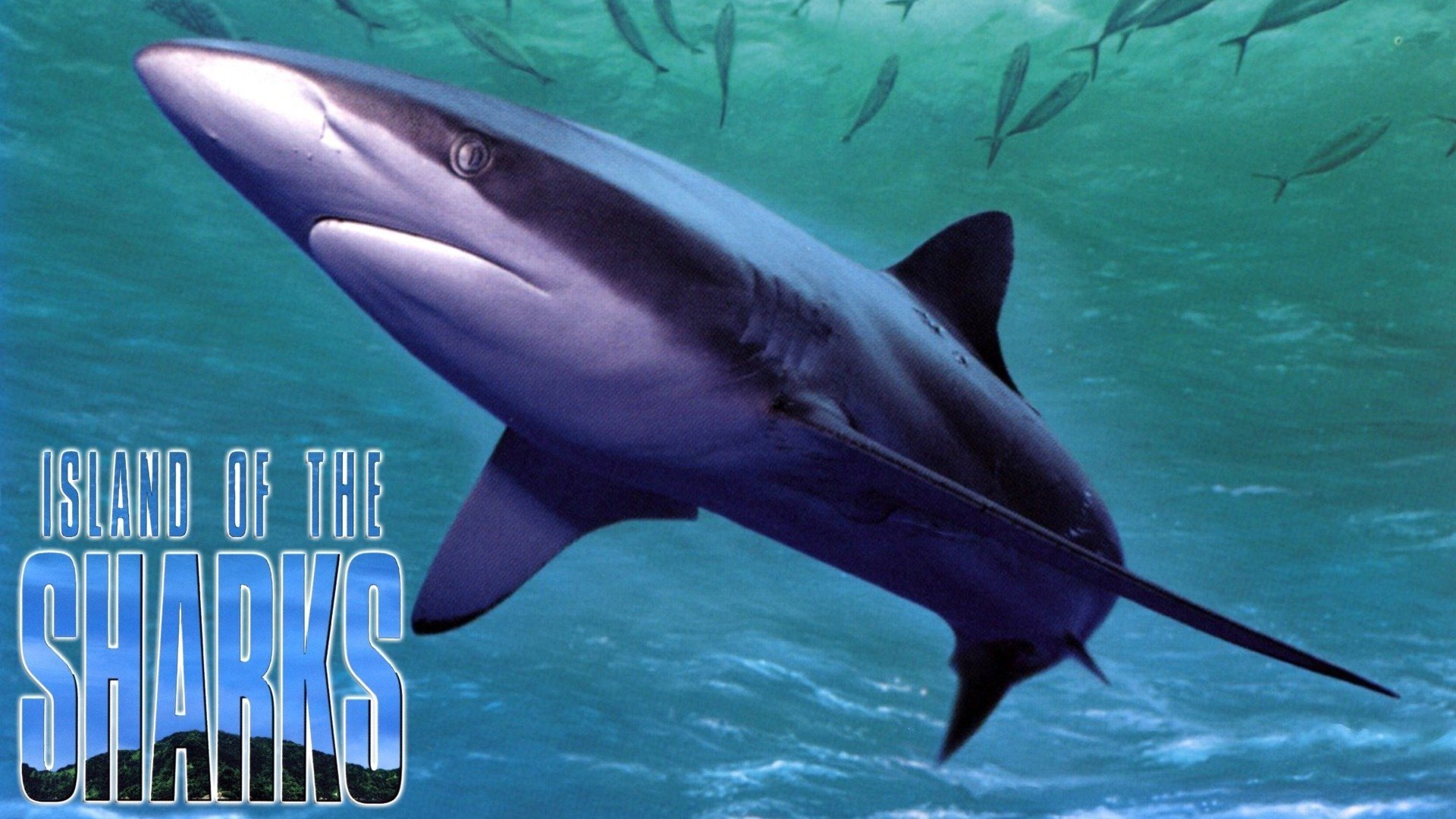 Island of the Sharks (1999)