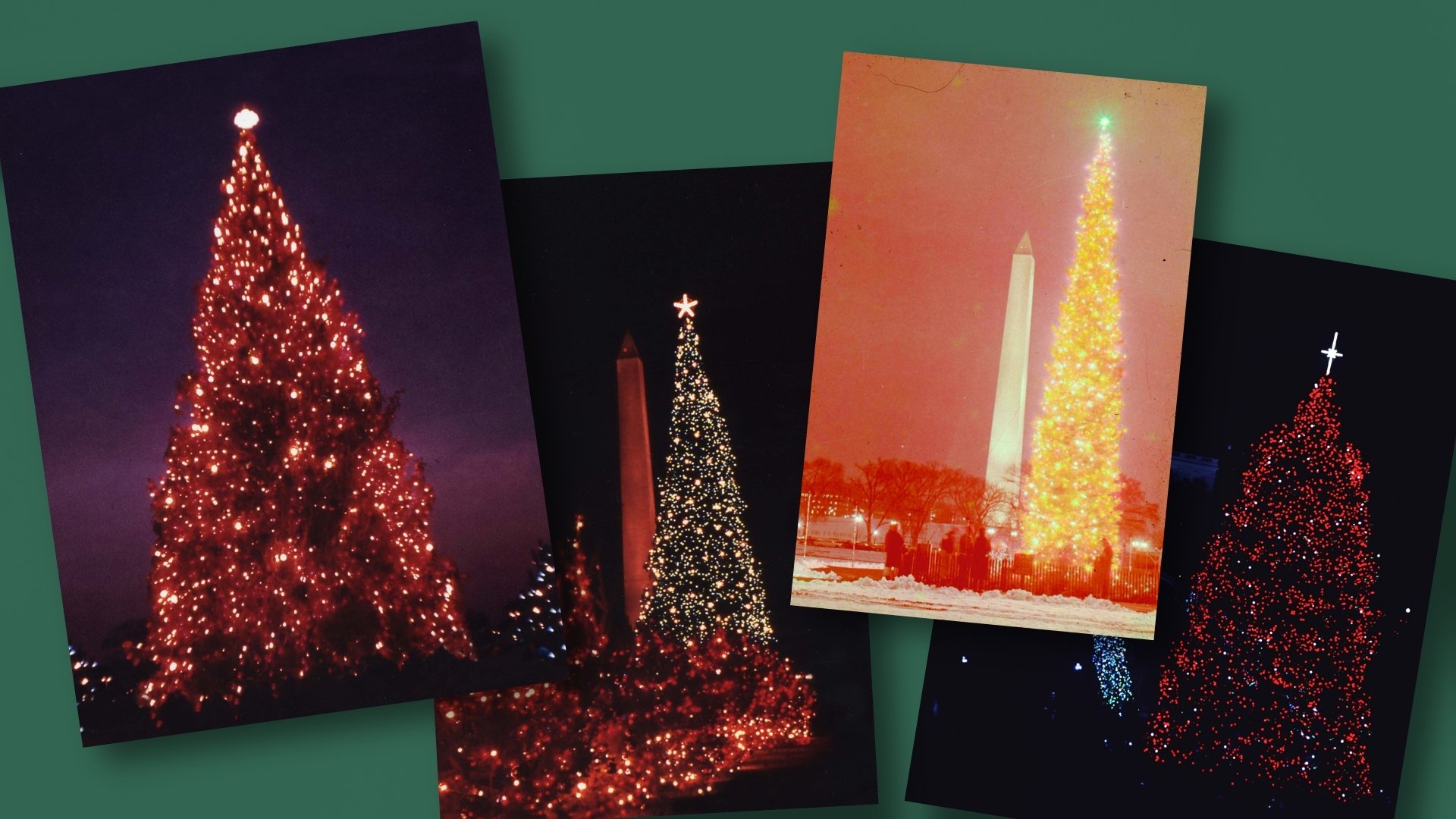 The National Christmas Tree, A Century of Celebration (2024)