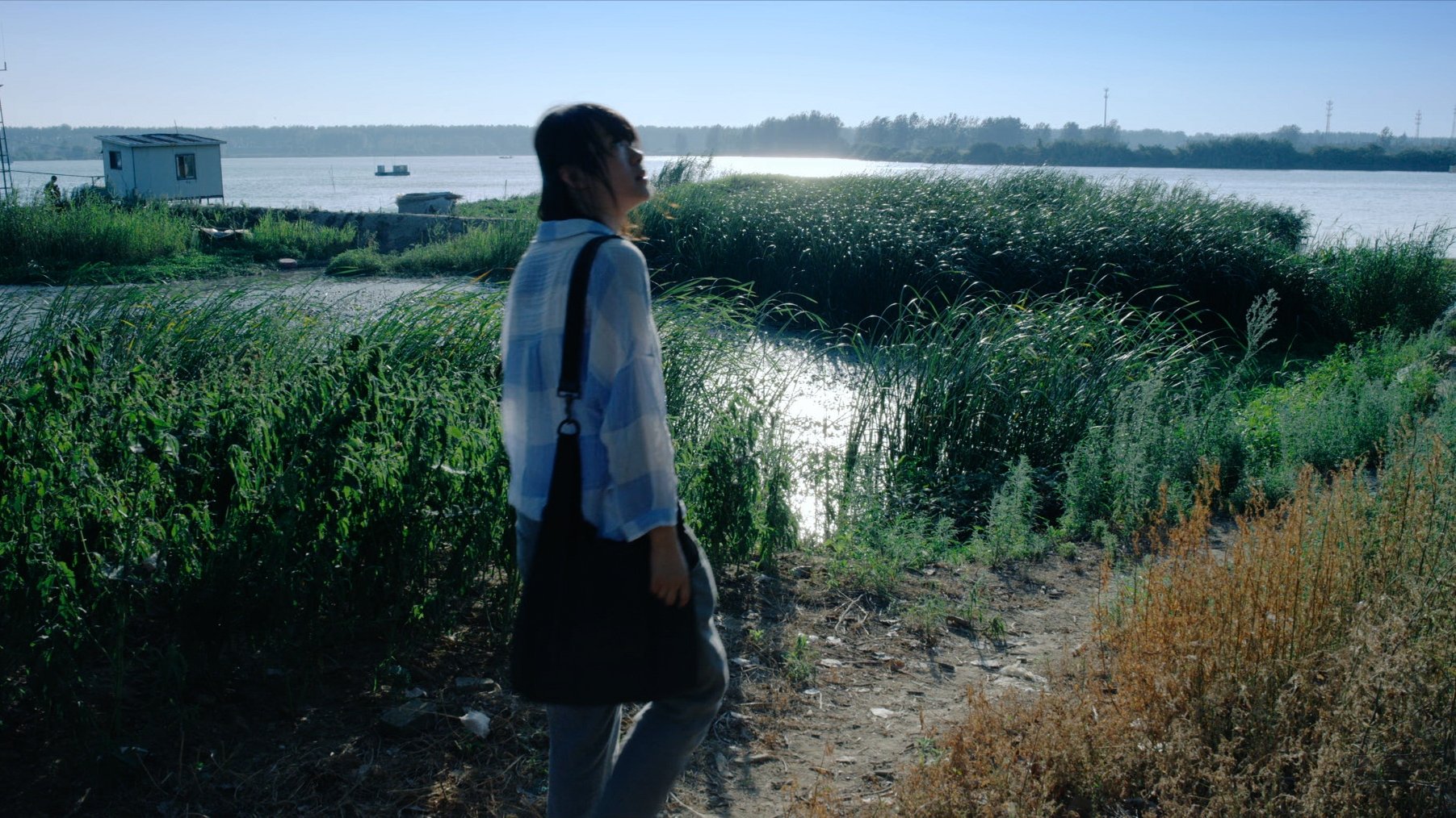 Lush Reeds (2018)