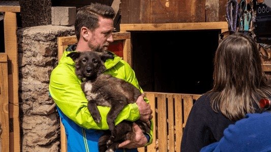 The Wizard of Paws 1x12