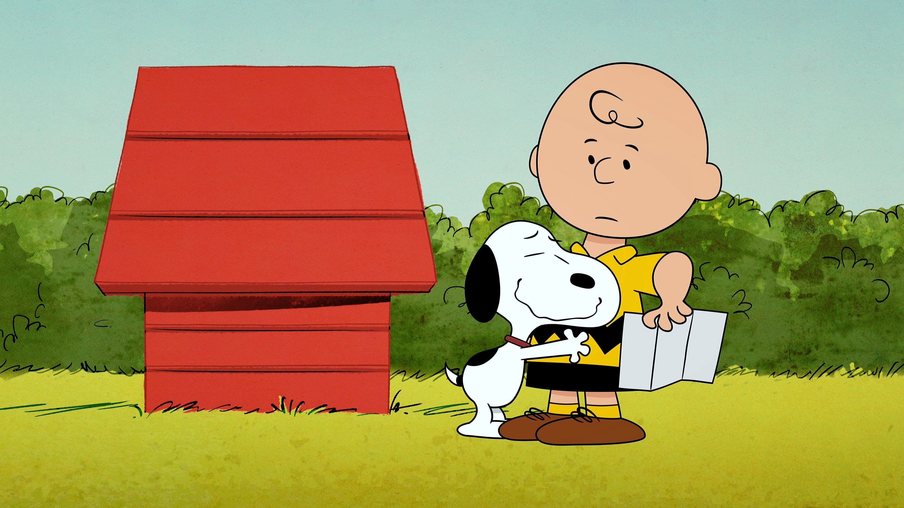 Who Are You, Charlie Brown?