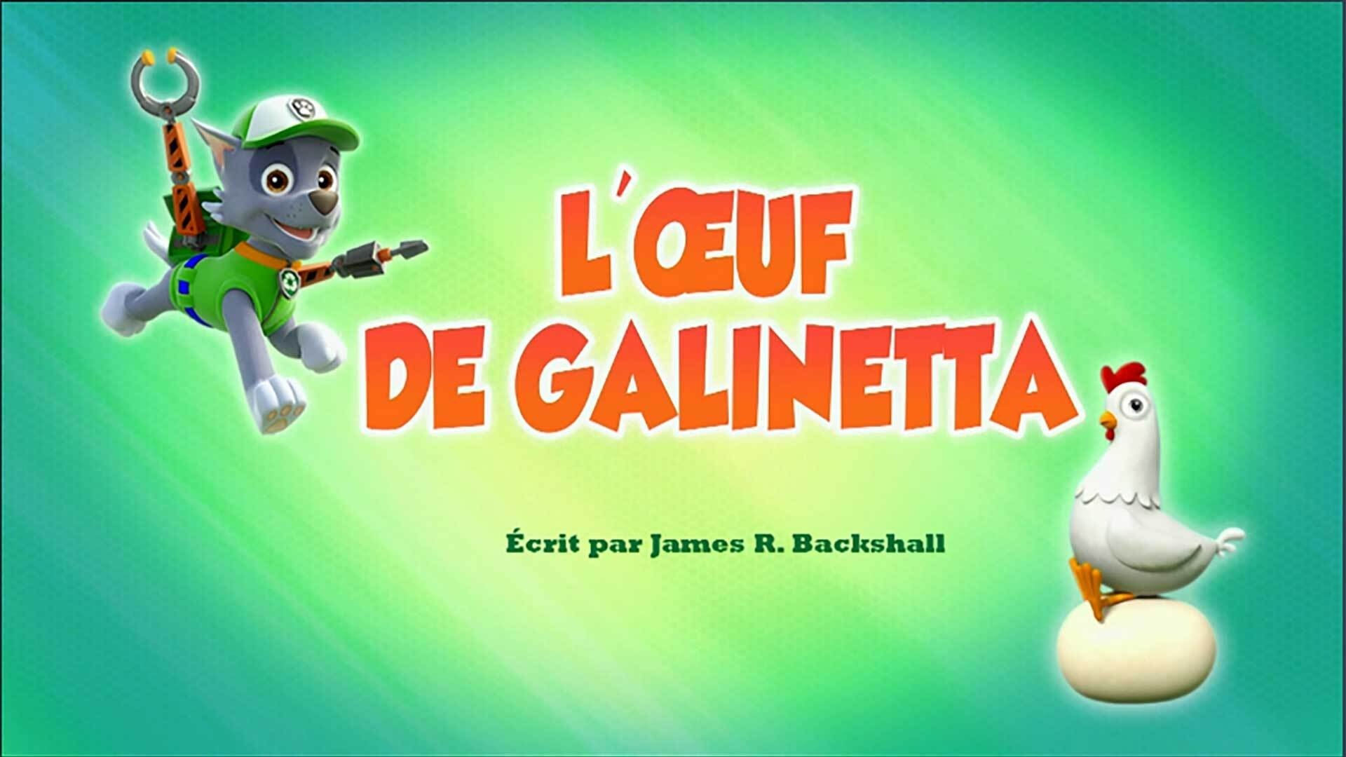 Episode 20 - I cuccioli salvano l'uovo di Chickaletta