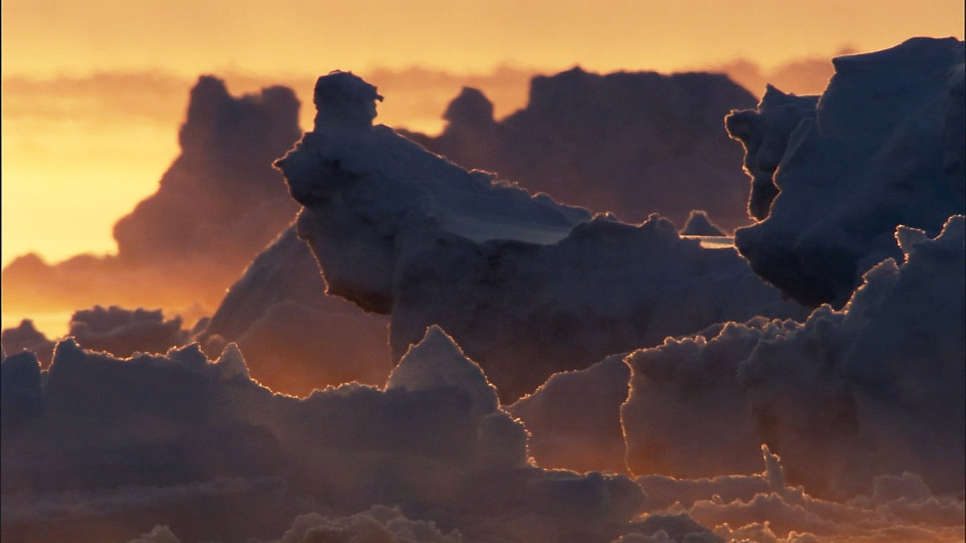 Frozen Planet