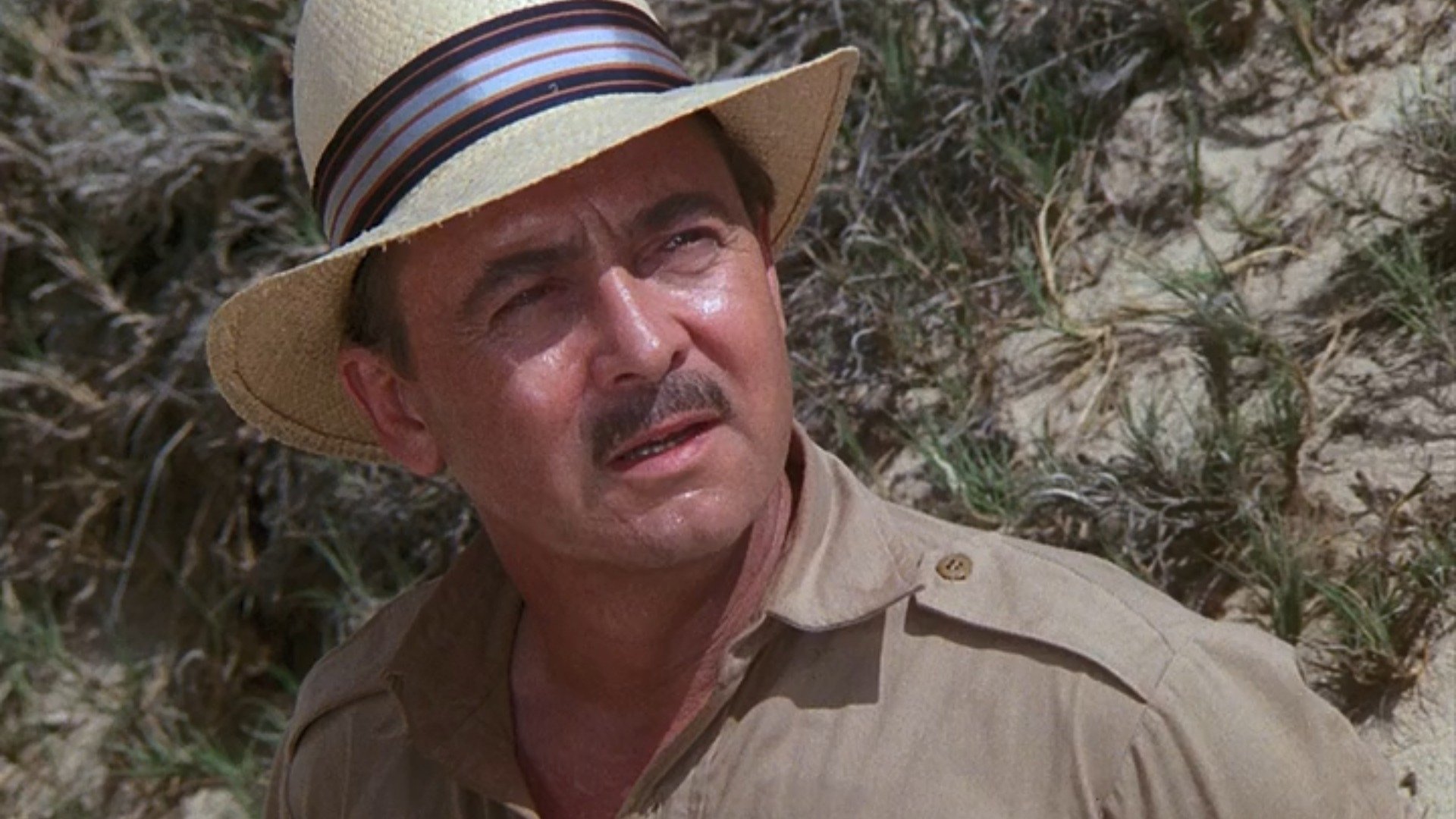 Magnum, P.I.