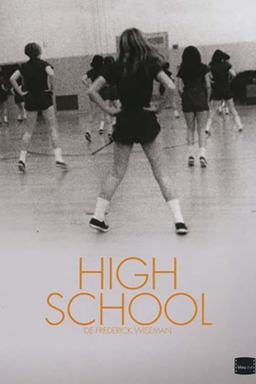 Affiche du film High School 13987