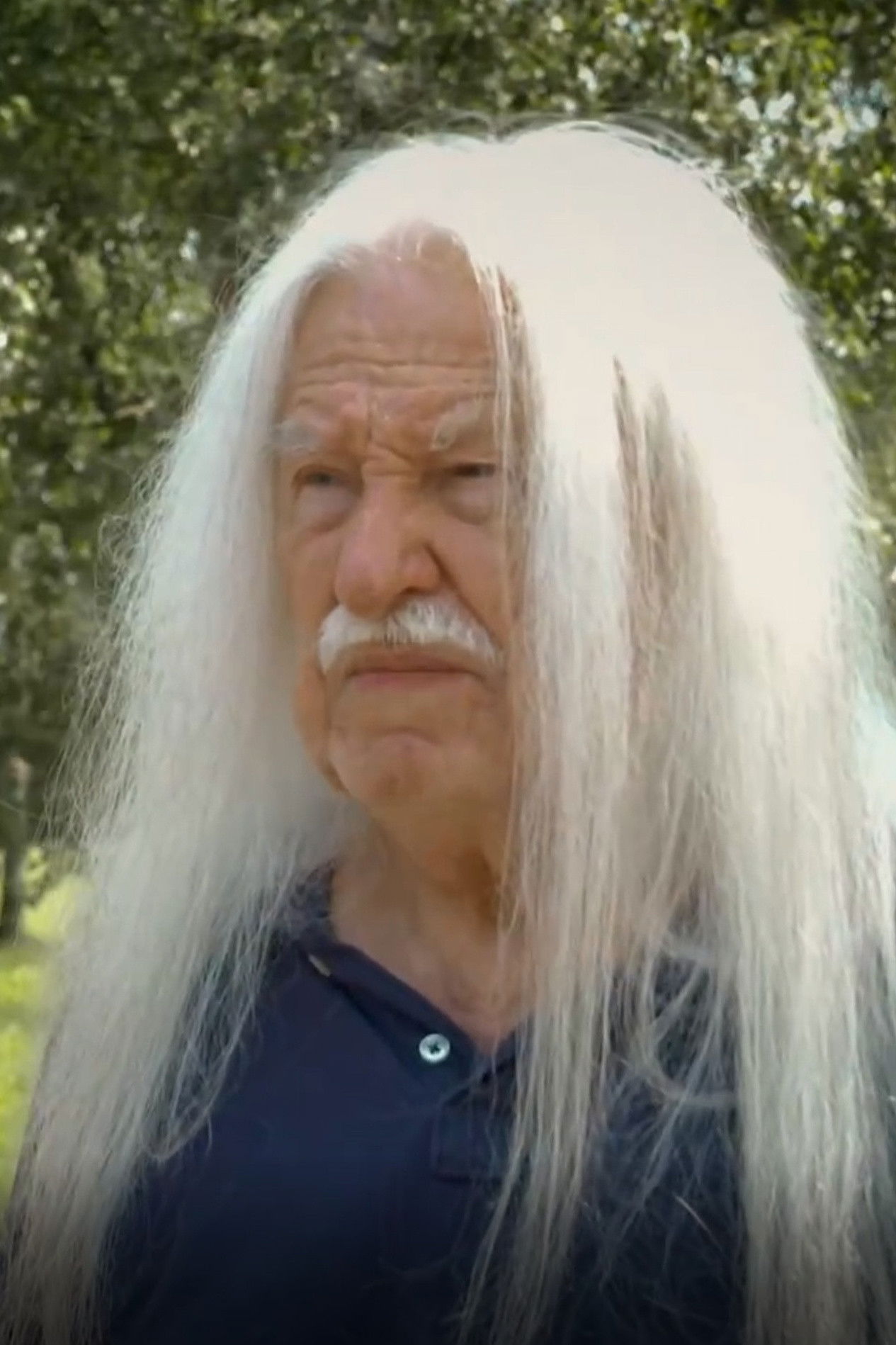 et billede af Josef Kolín