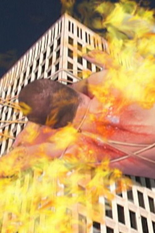 The Architect Poster