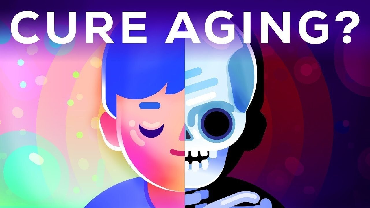 Kurzgesagt - In a Nutshell