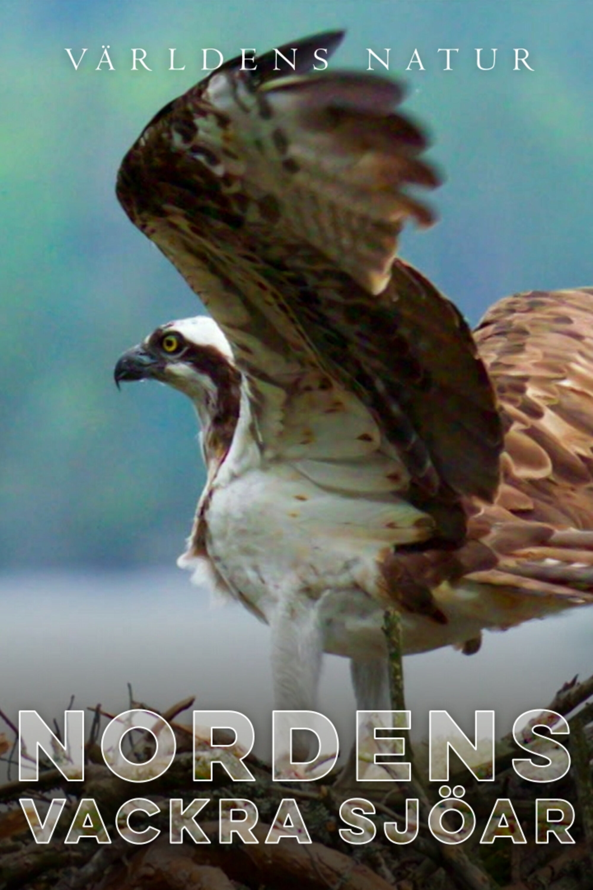 Nordens vackra sjöar