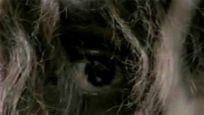MonsterQuest - Épisode 10