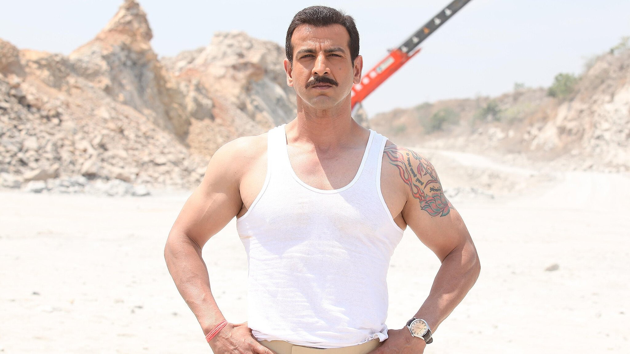Boss (2013)