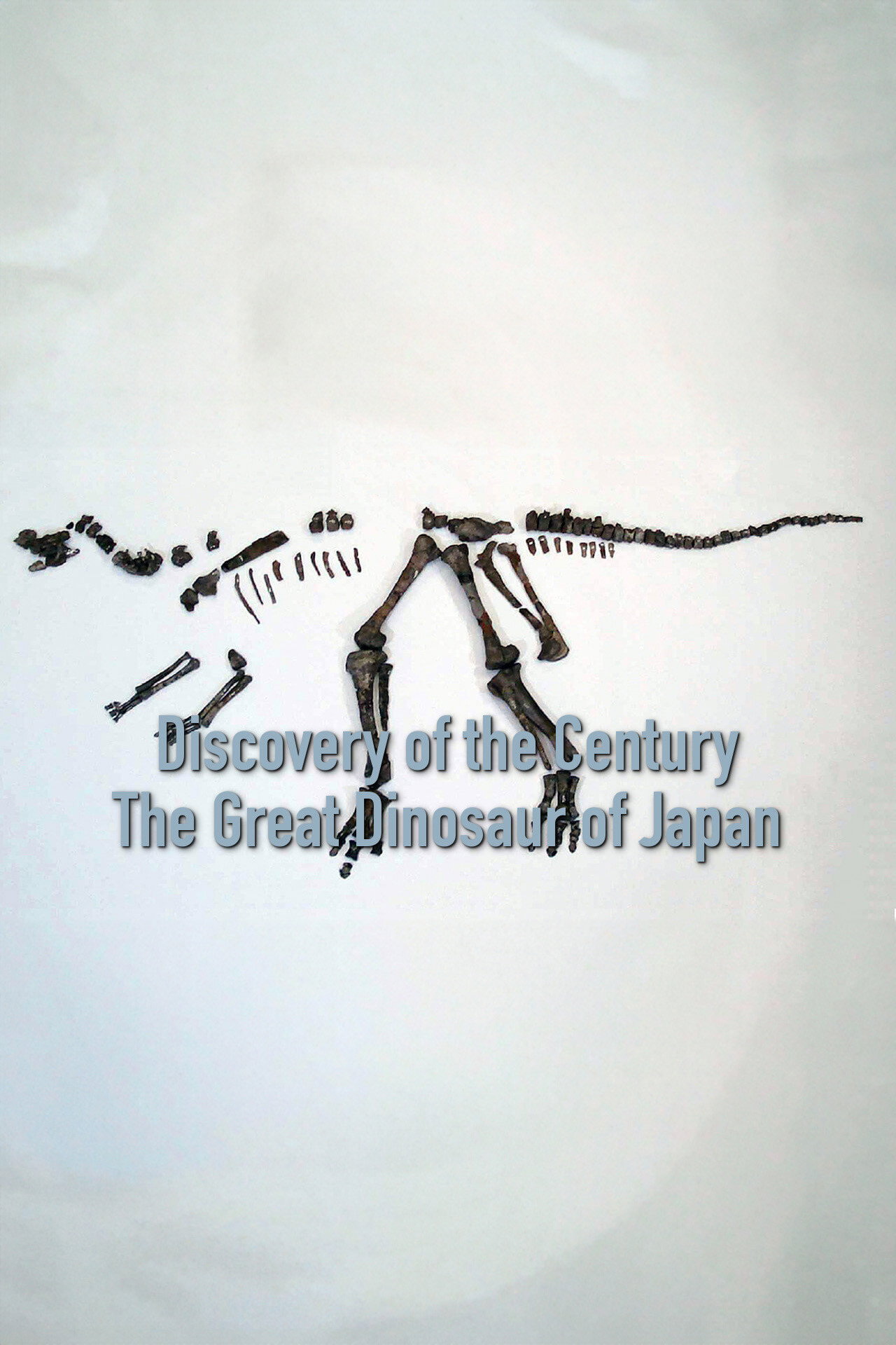 Discovery of the Century &mdash; The Great Dinosaur of Japan
