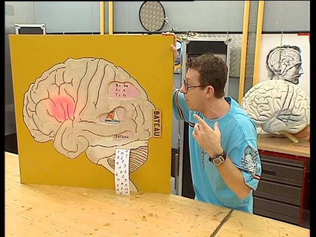 C'est pas sorcier - Le cerveau 2 : j'ai la mémoire qui flanche