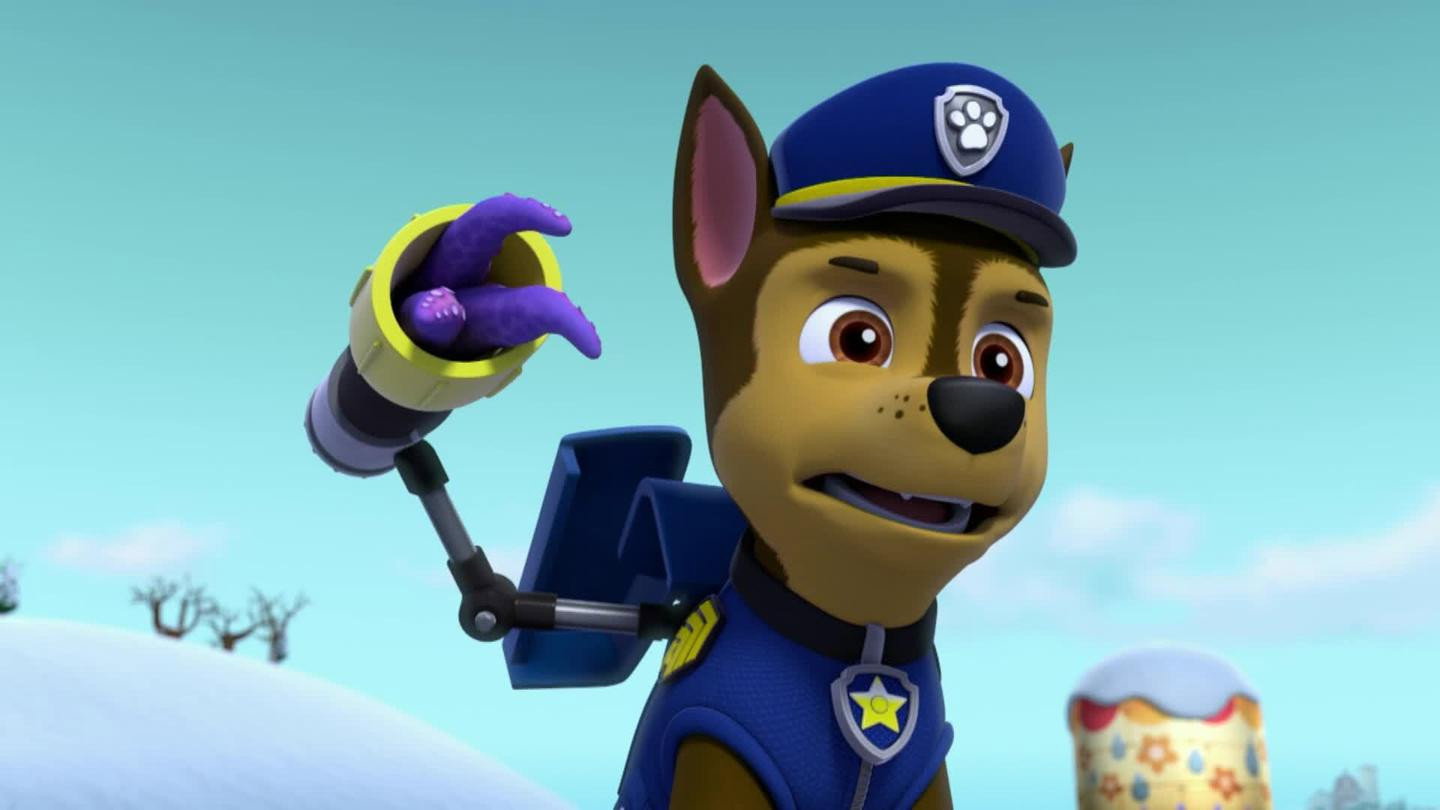 S6E31 · Pups Save the Bears