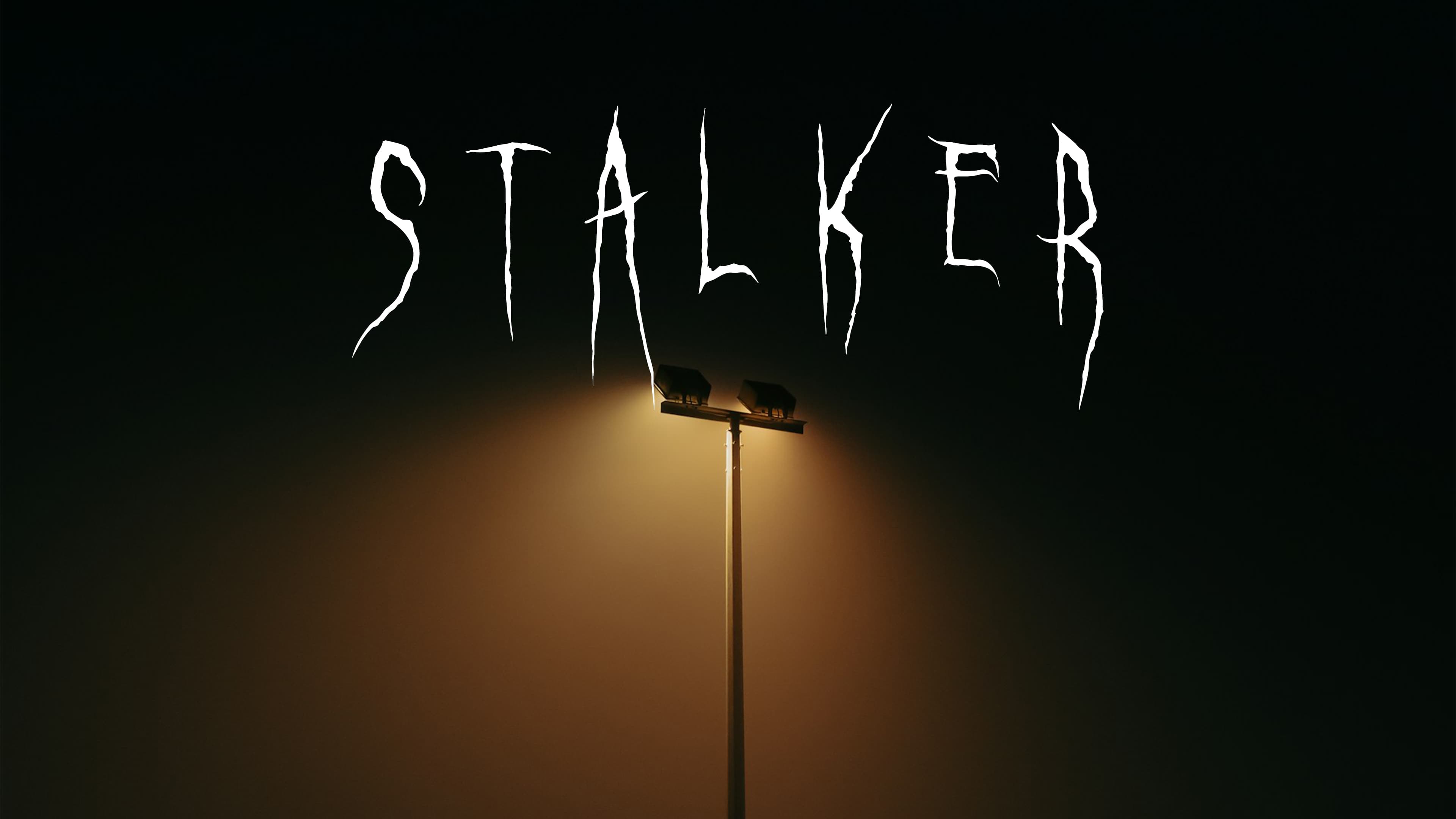 STALKER (2024)