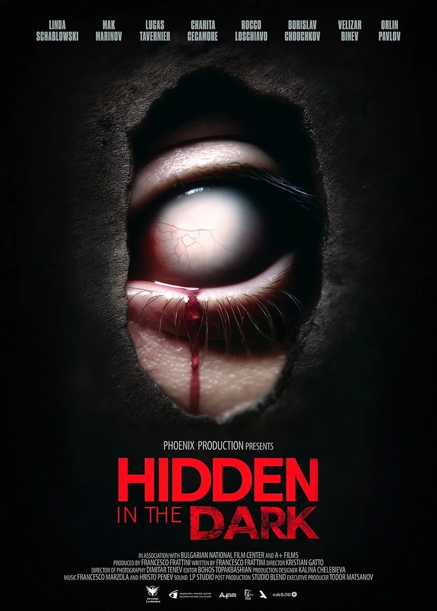 Hidden in the Dark