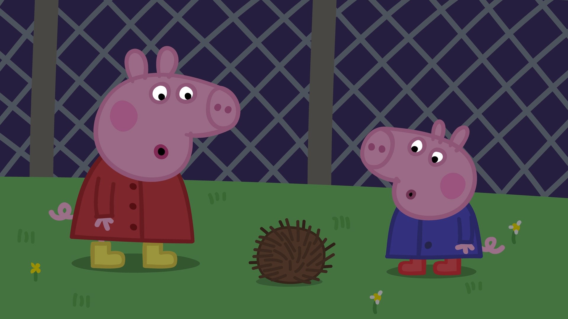 Peppa Pig Season 4 :Episode 35  Night Animals