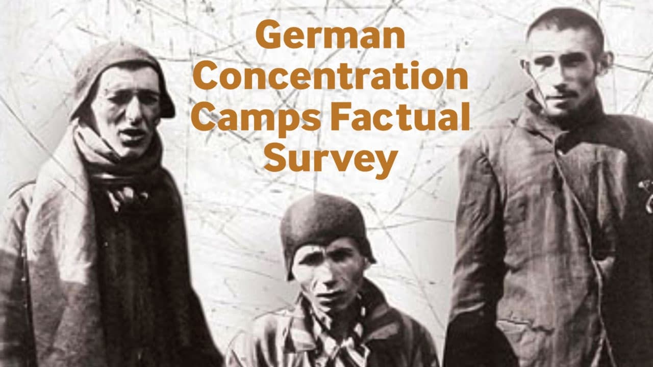 German Concentration Camps Factual Survey (2017)