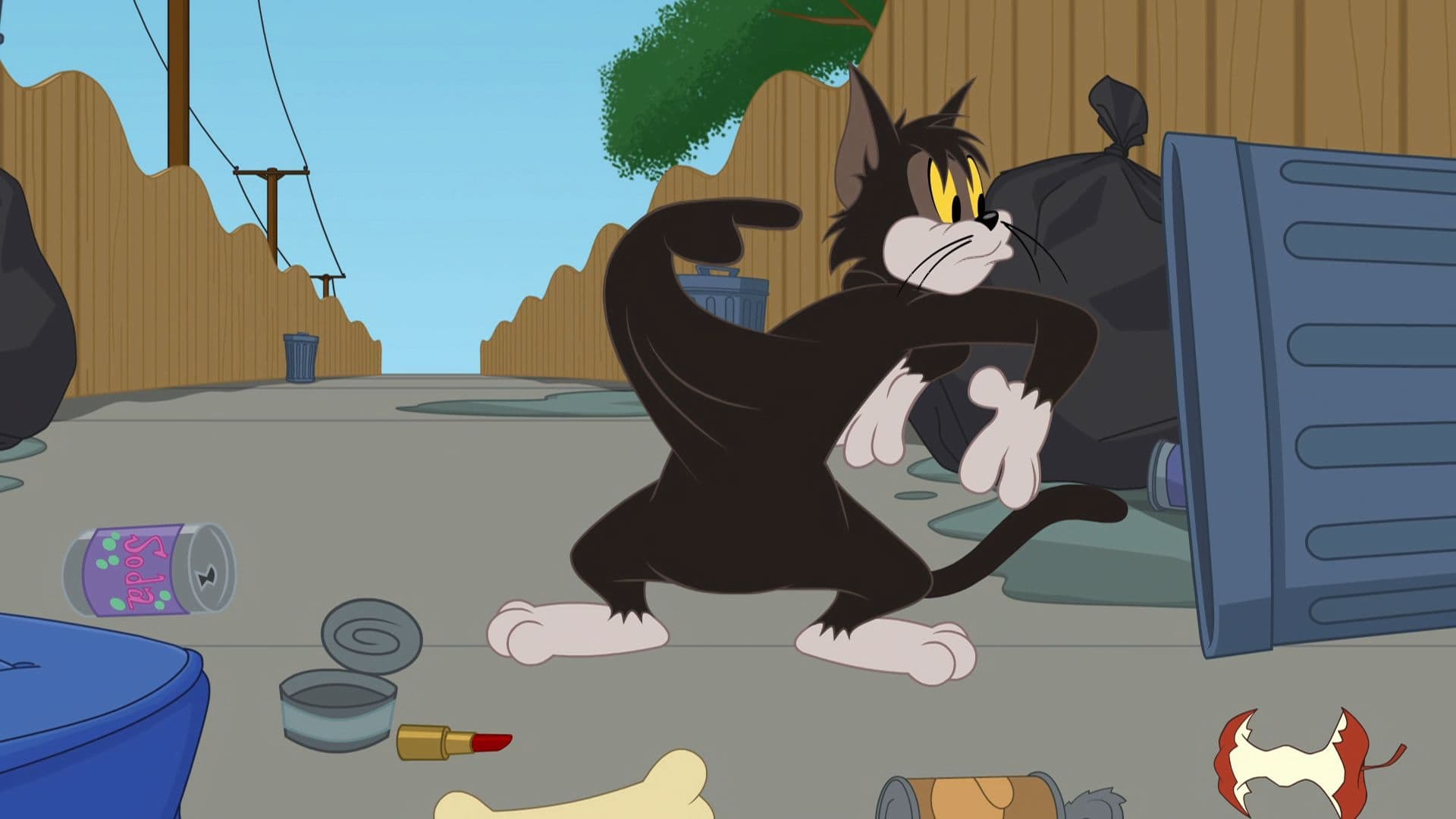 The Tom and Jerry Show