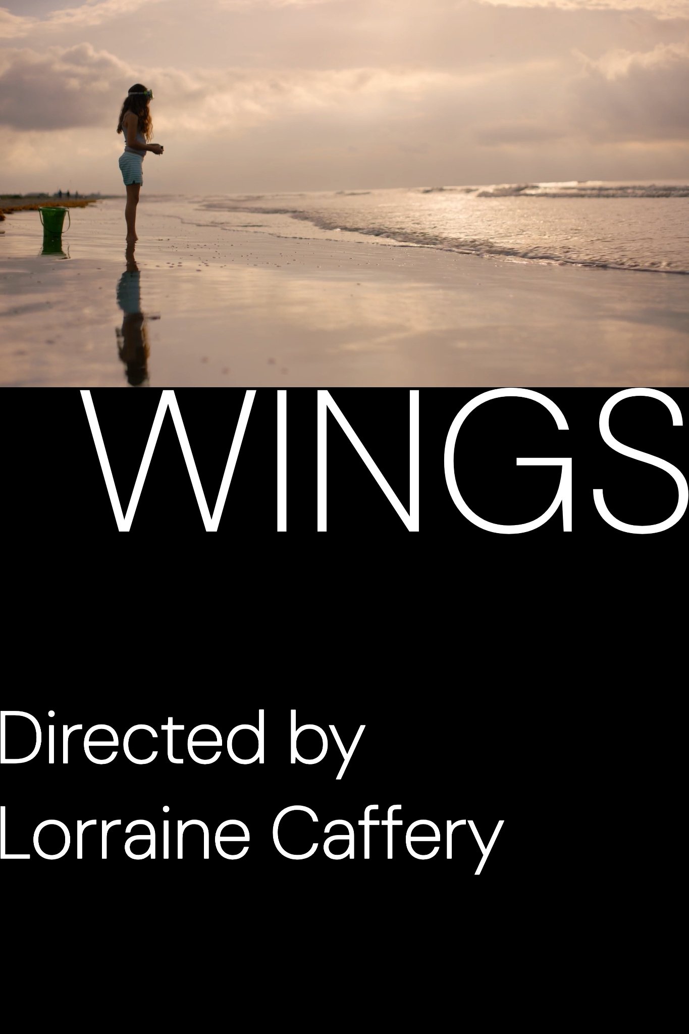 Wings Wings