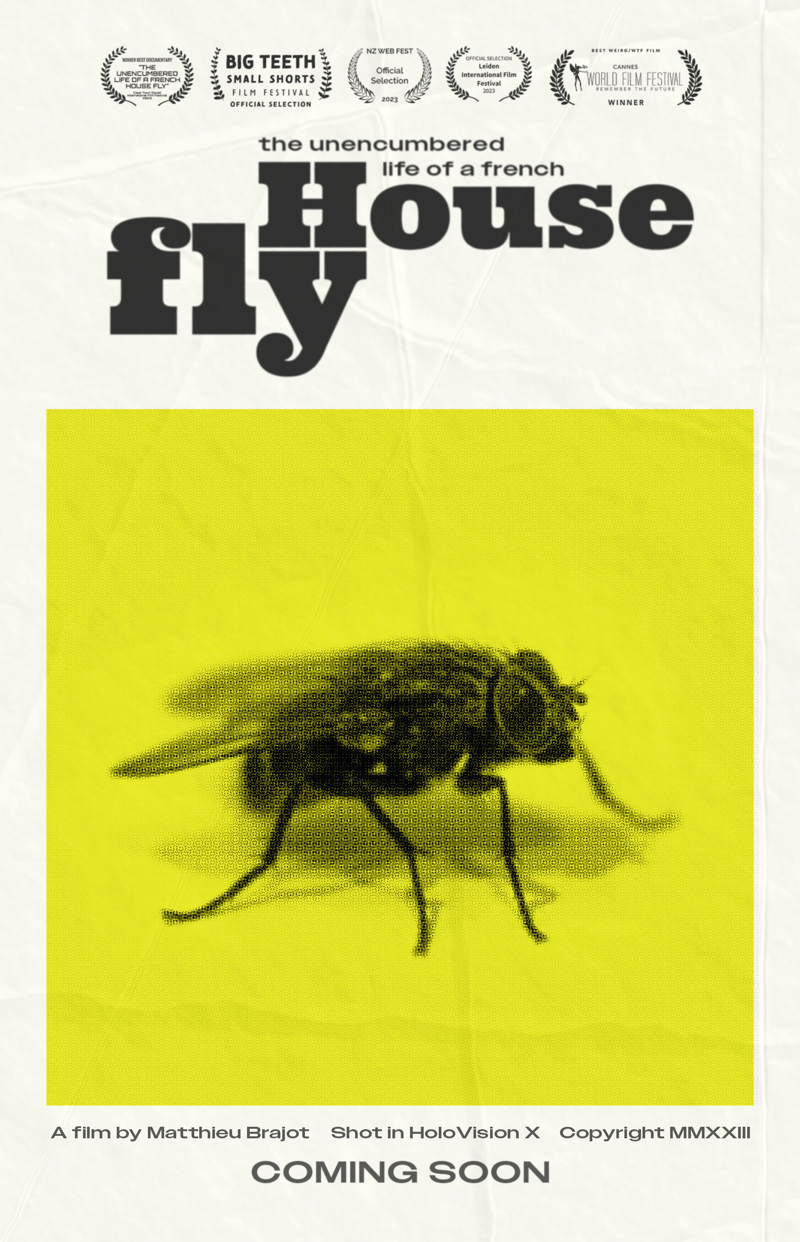The Unencumbered Life of a French House Fly