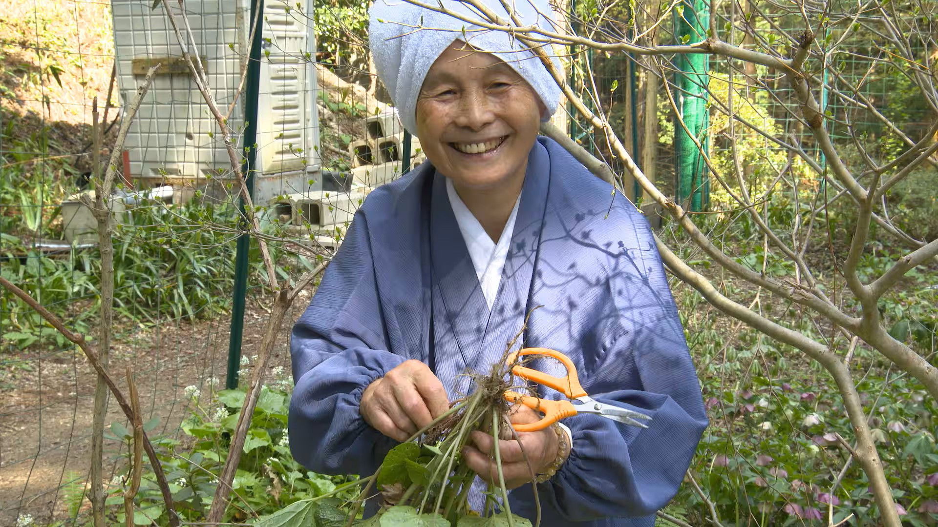 Diary of a Nun's Abundant Kitchen Season 2 :Episode 4  Episode 4