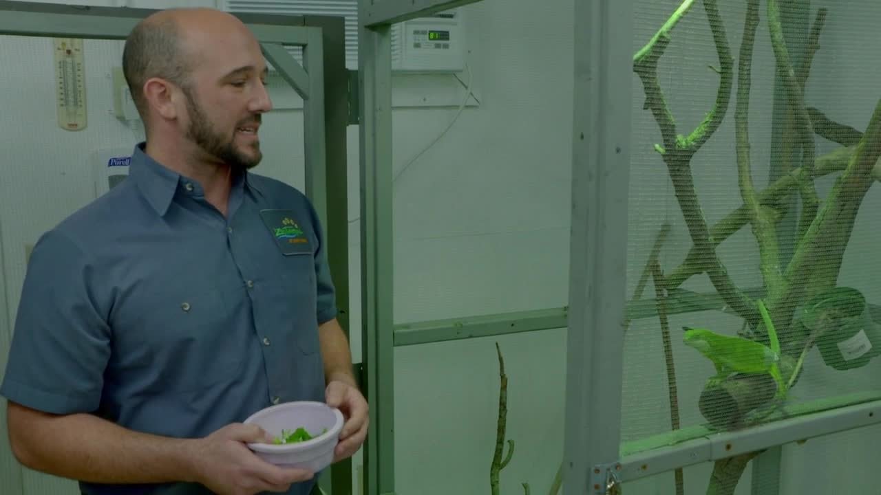 Secrets of the Zoo: Tampa