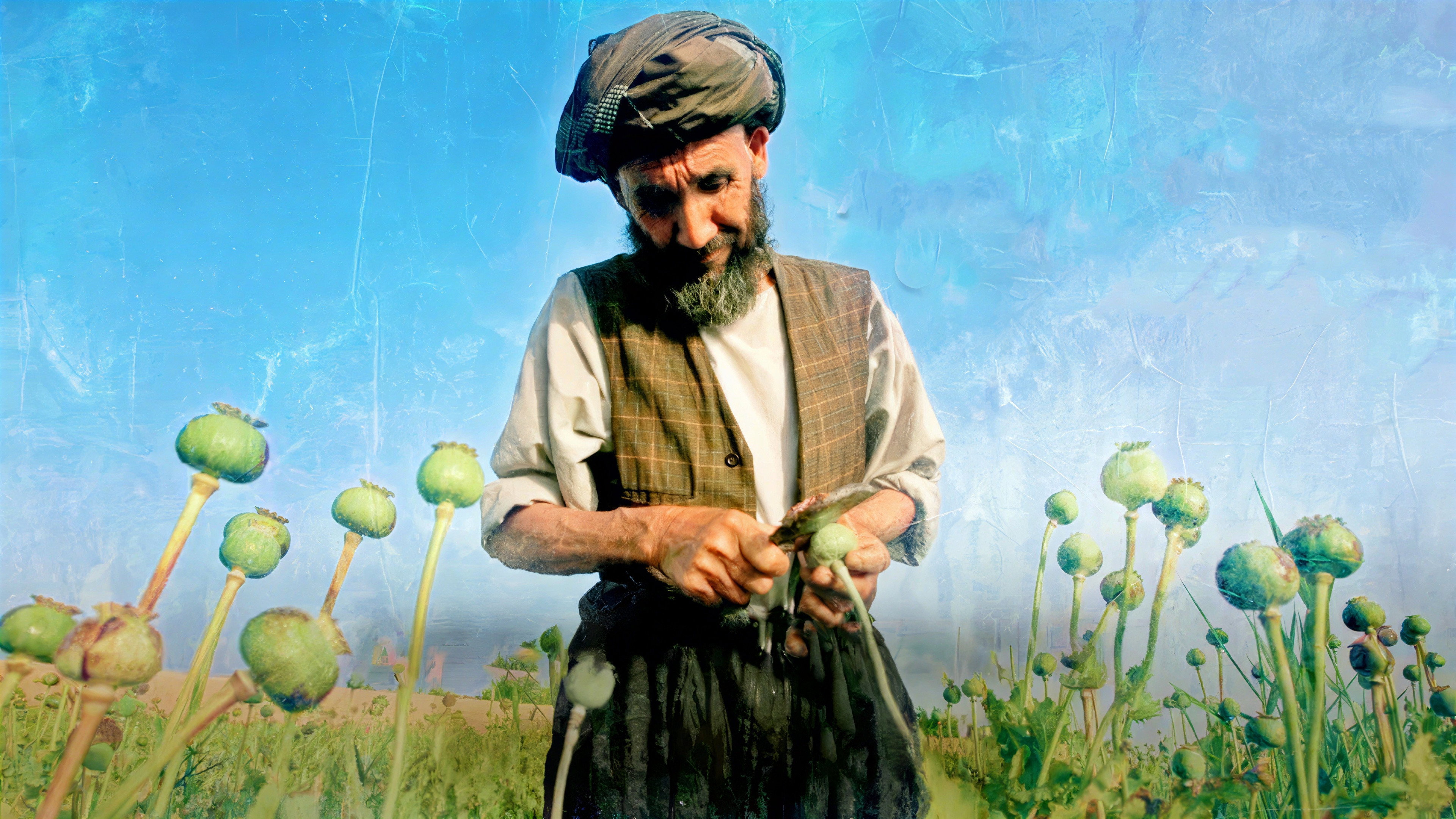 Afghanistan's Opium Trail