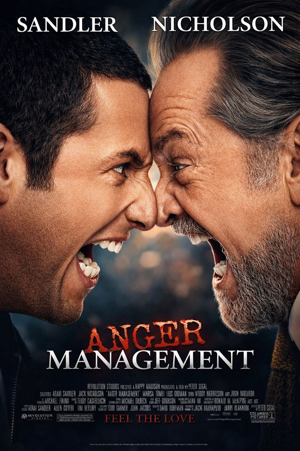 NF - Anger Management (2003)