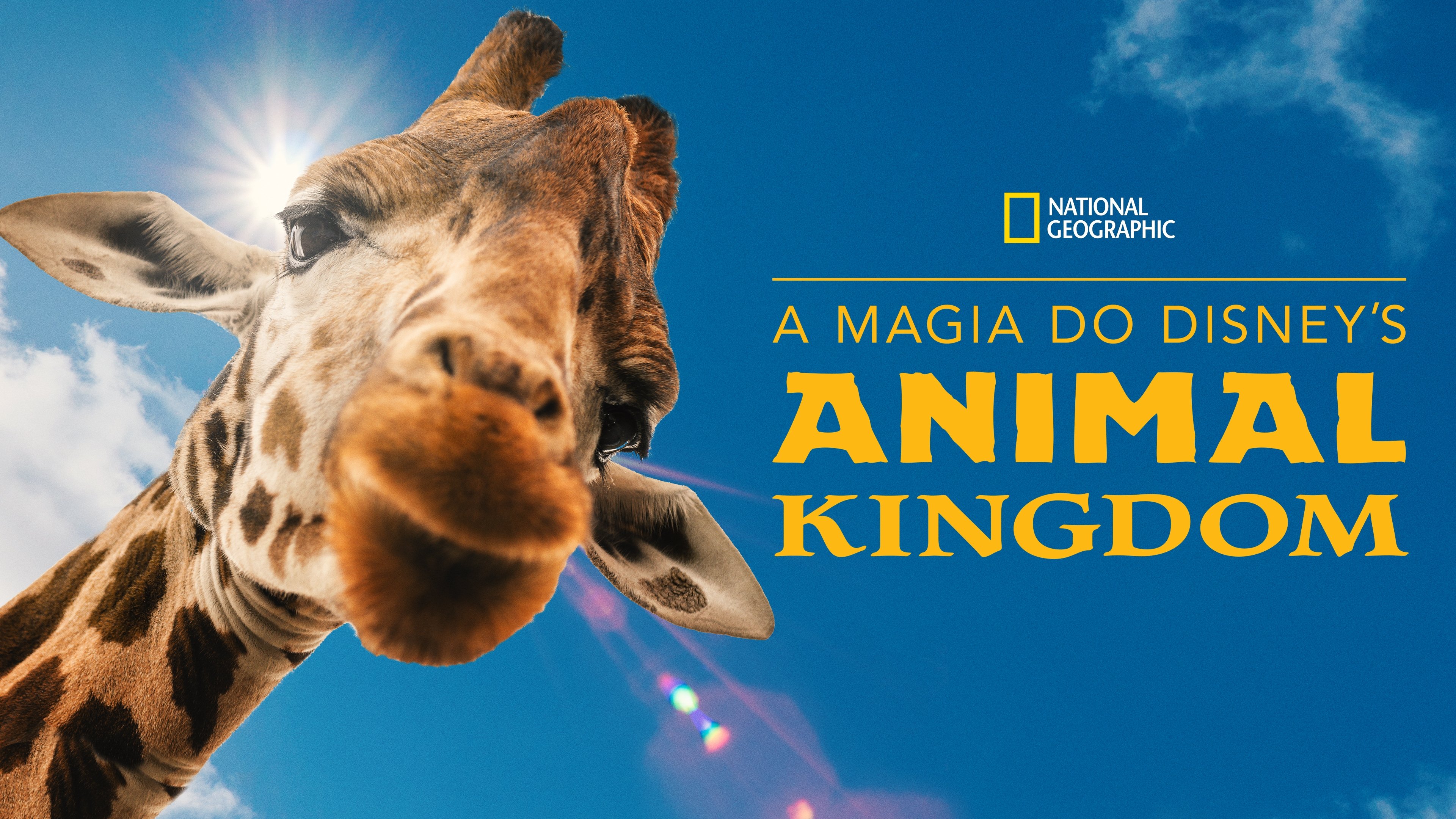 Magic of Disney's Animal Kingdom - Season 2