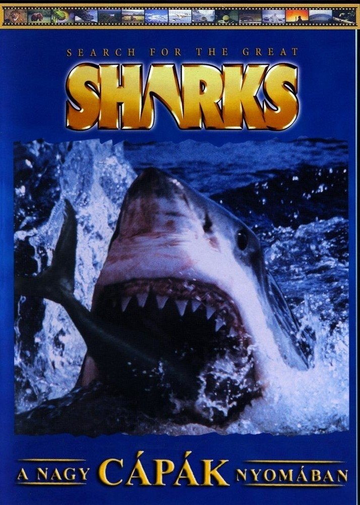 Search for the Great Sharks