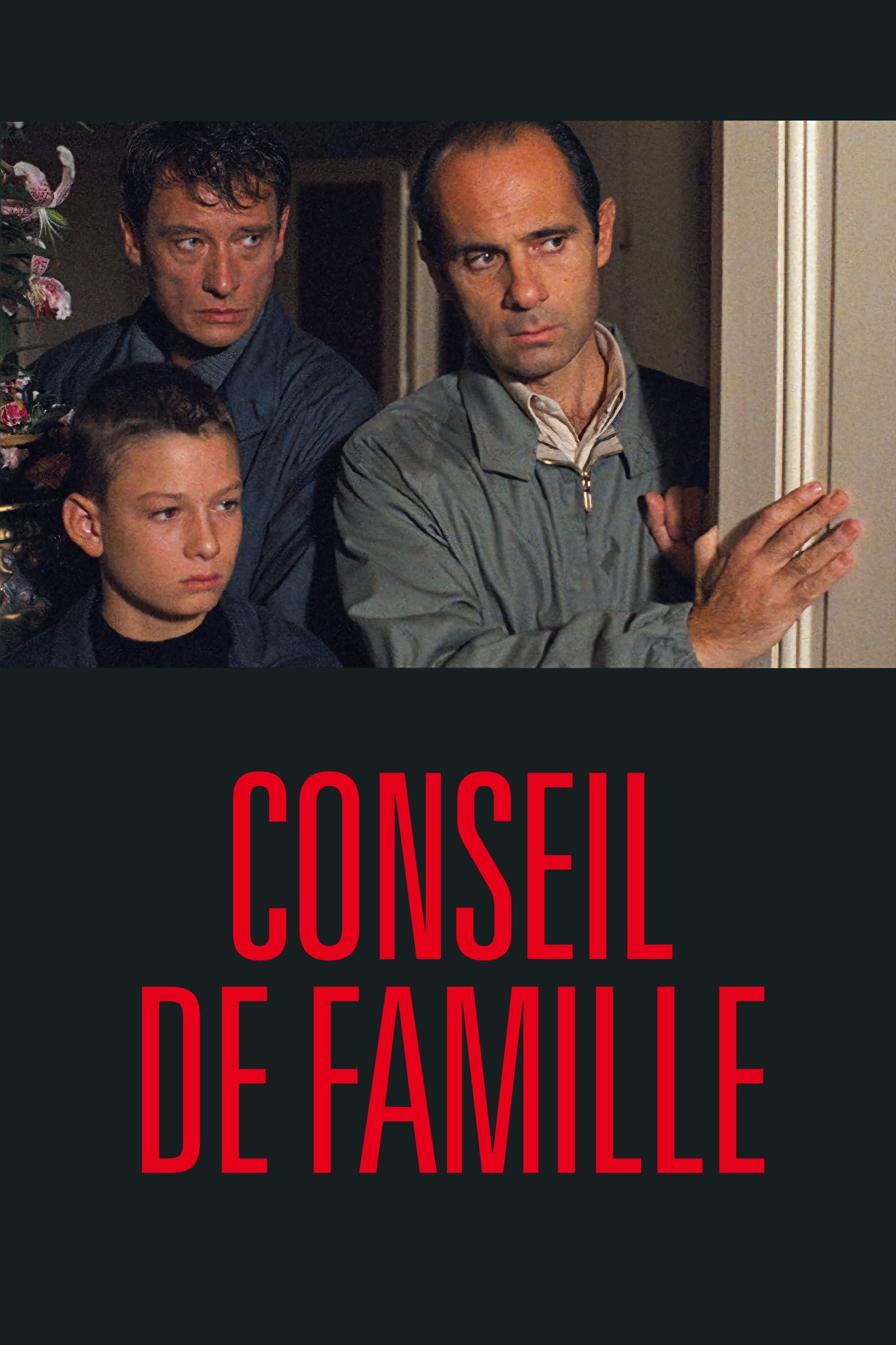 Affiche du film Conseil de famille 27781