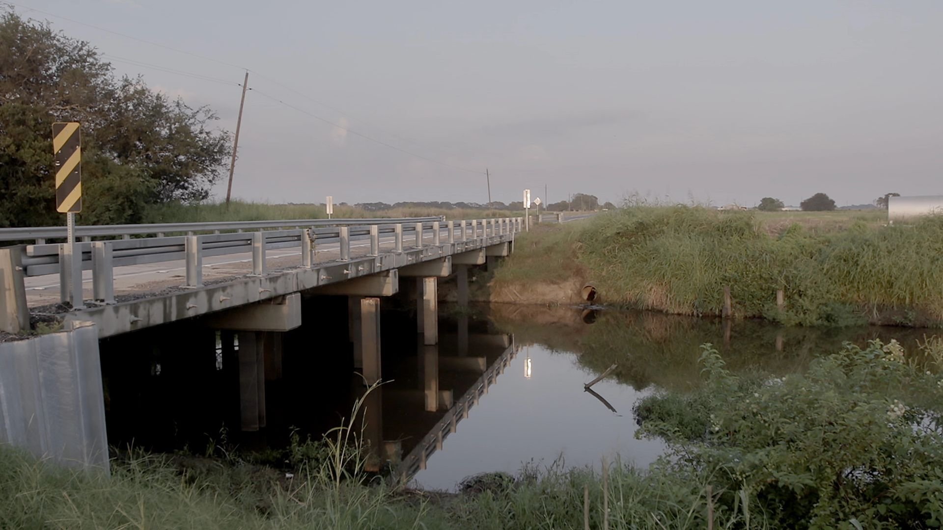 Murder in the Bayou
