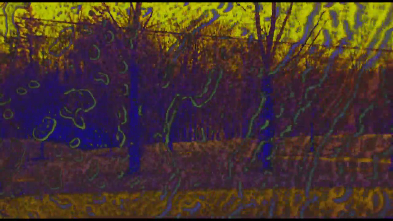 Joose Psychedelia Test