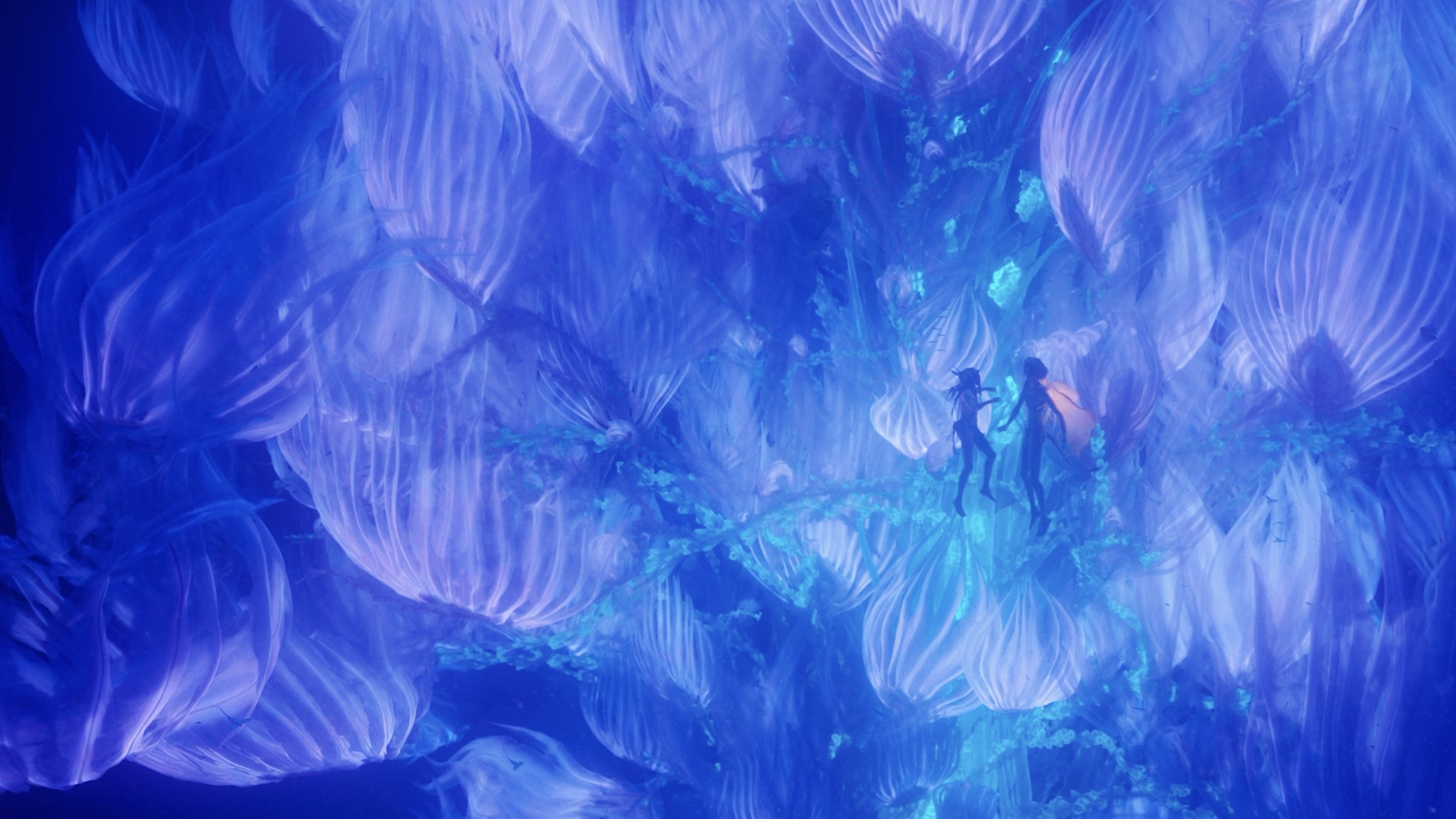 Avatar: Fire and Ash backdrop