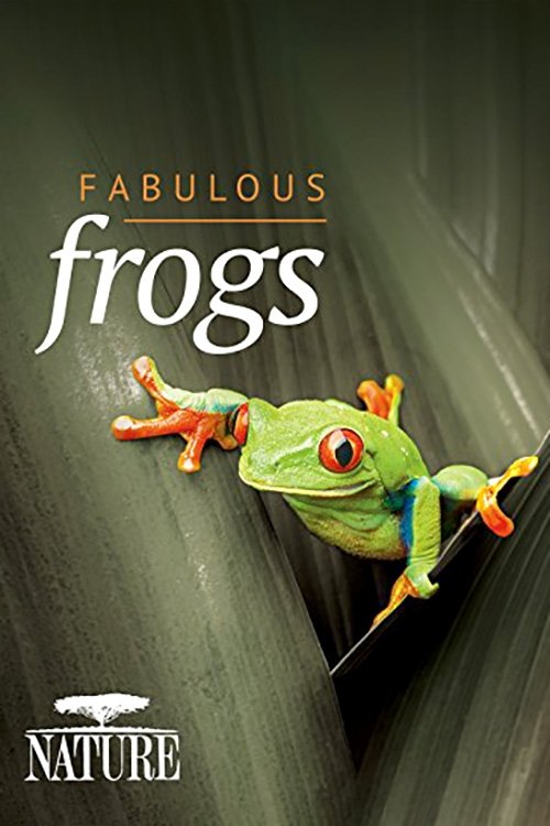 Fabulous Frogs