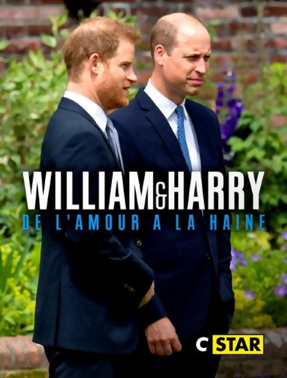 William et Harry : de l'amour &agrave; la haine