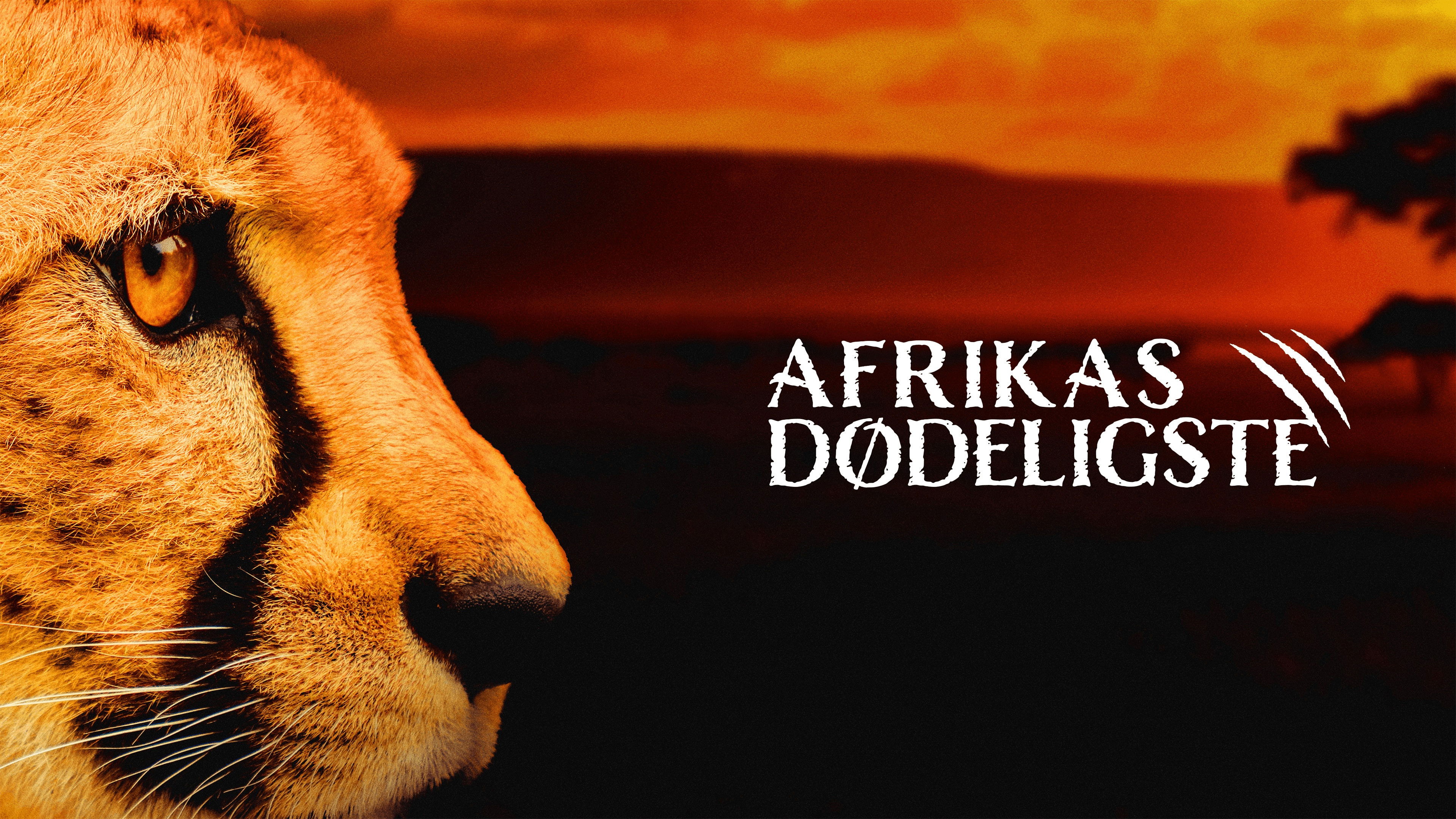 Africa's Deadliest