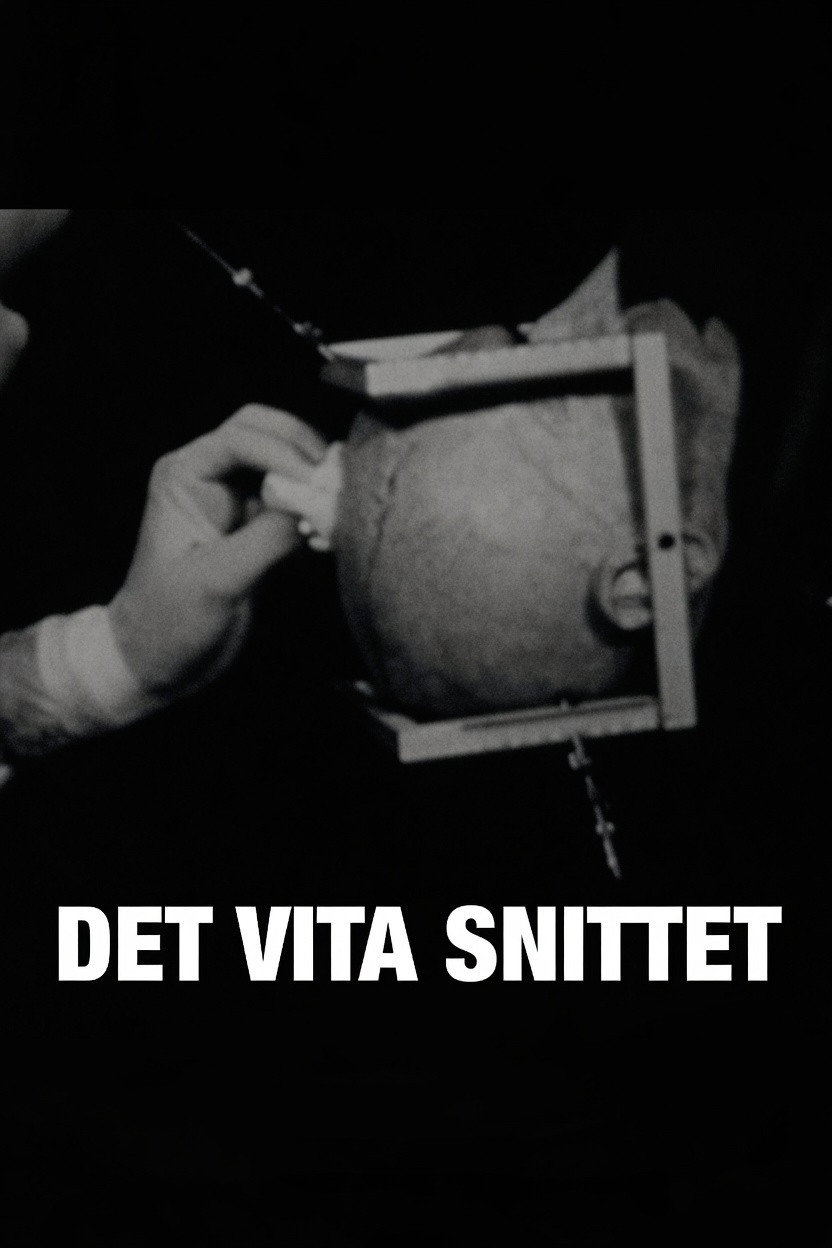 Det vita snittet