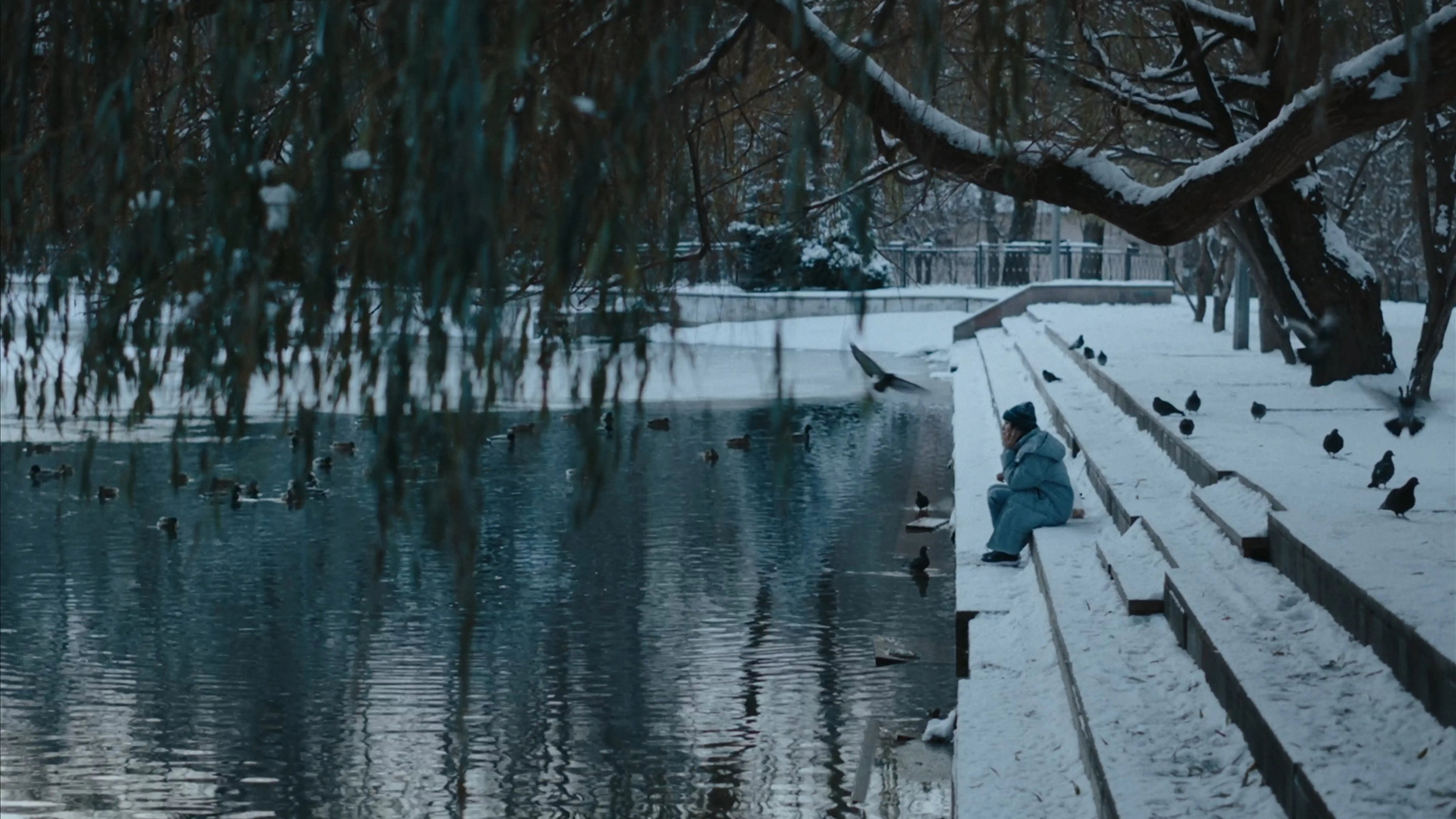 What have you done, Zarina? backdrop