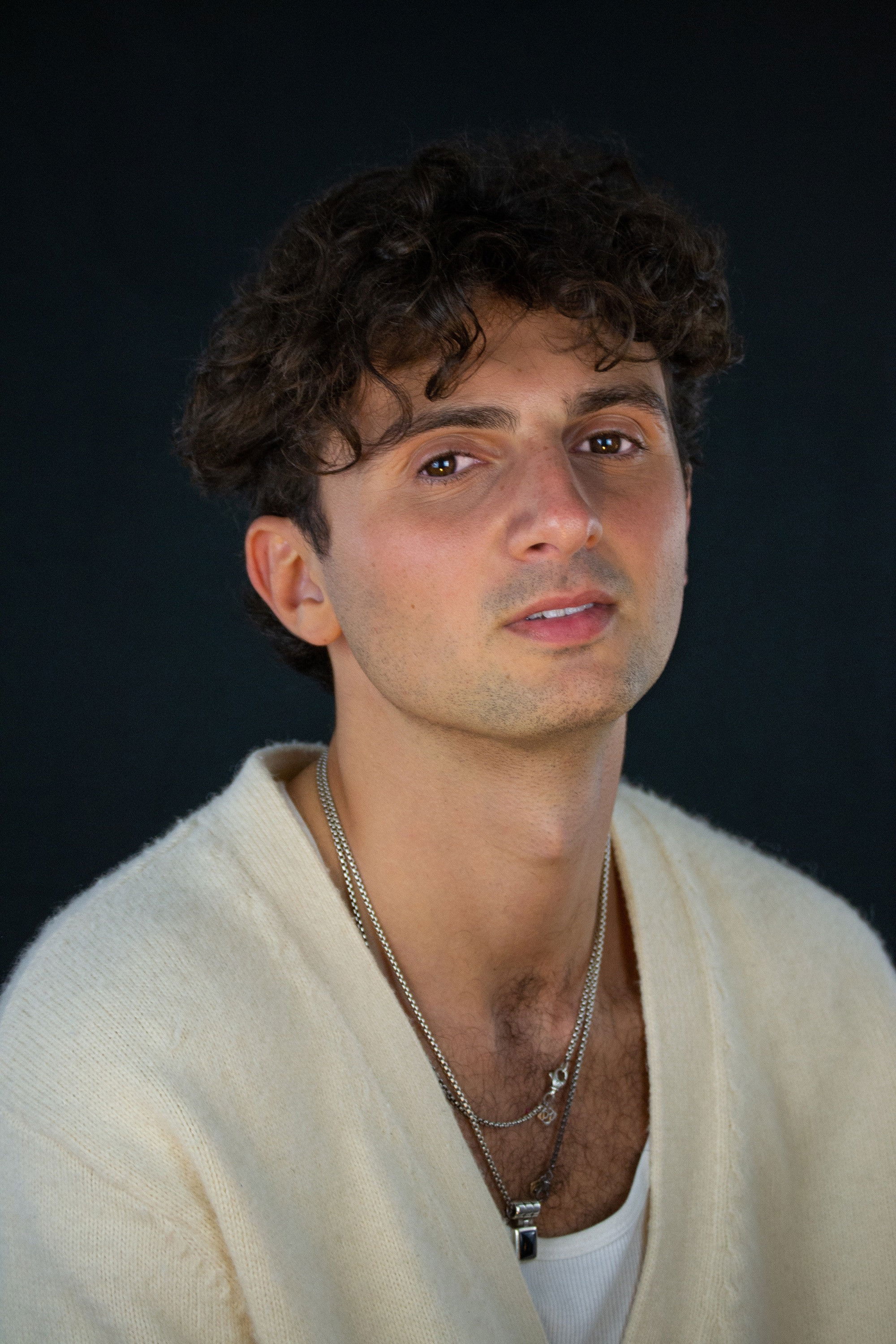 et billede af Jacob Lawrence Kreiss