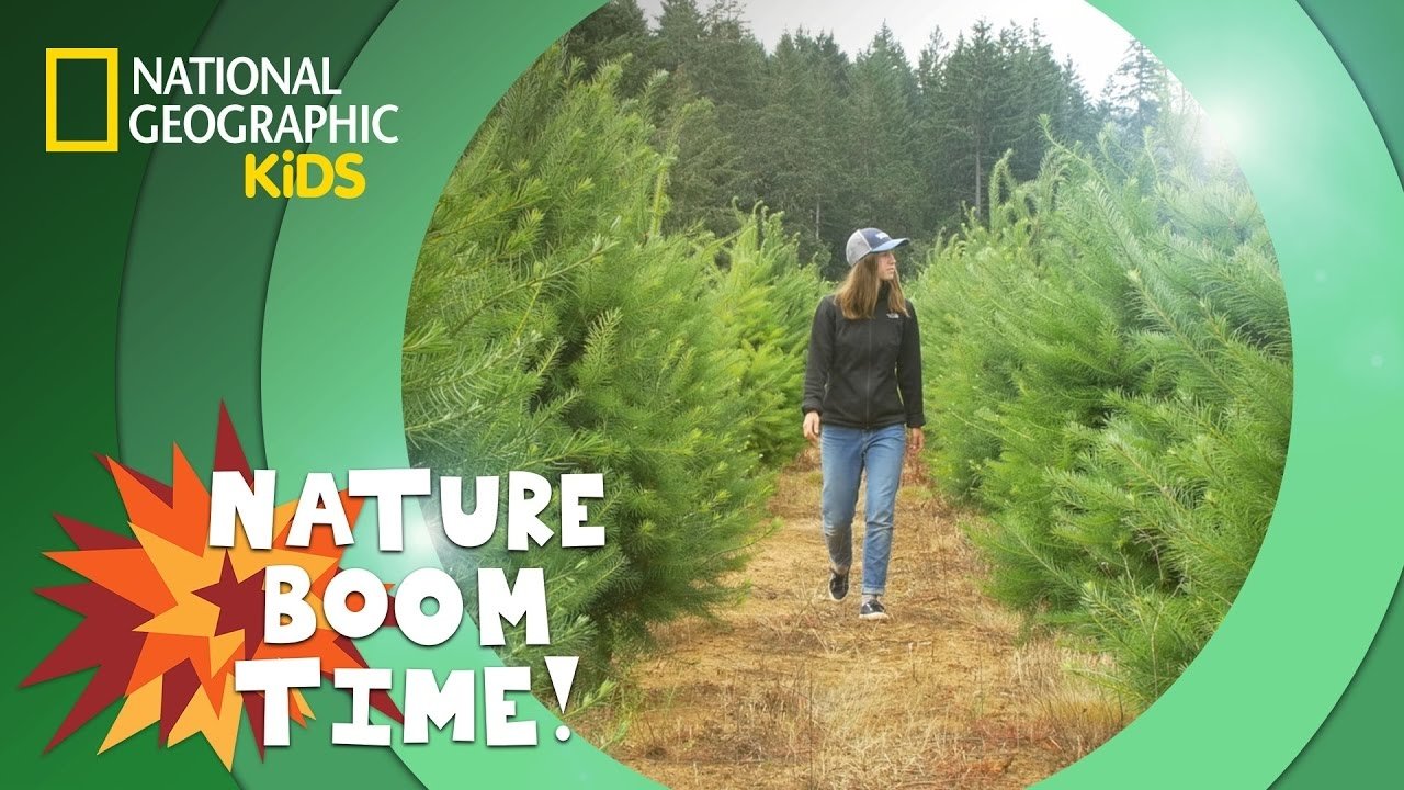 Thumbnail for Holiday Tree Farm Season 1 Episode 12