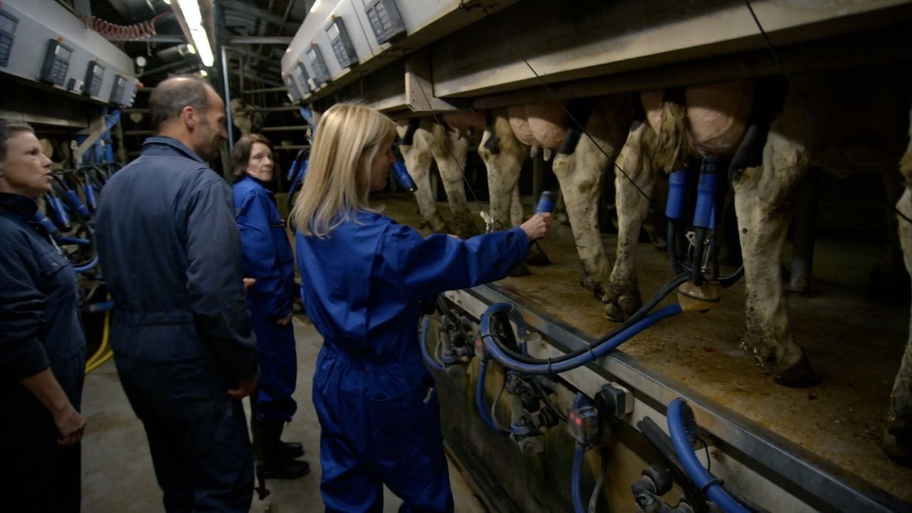 Boer zoekt Vrouw - Épisode 5
