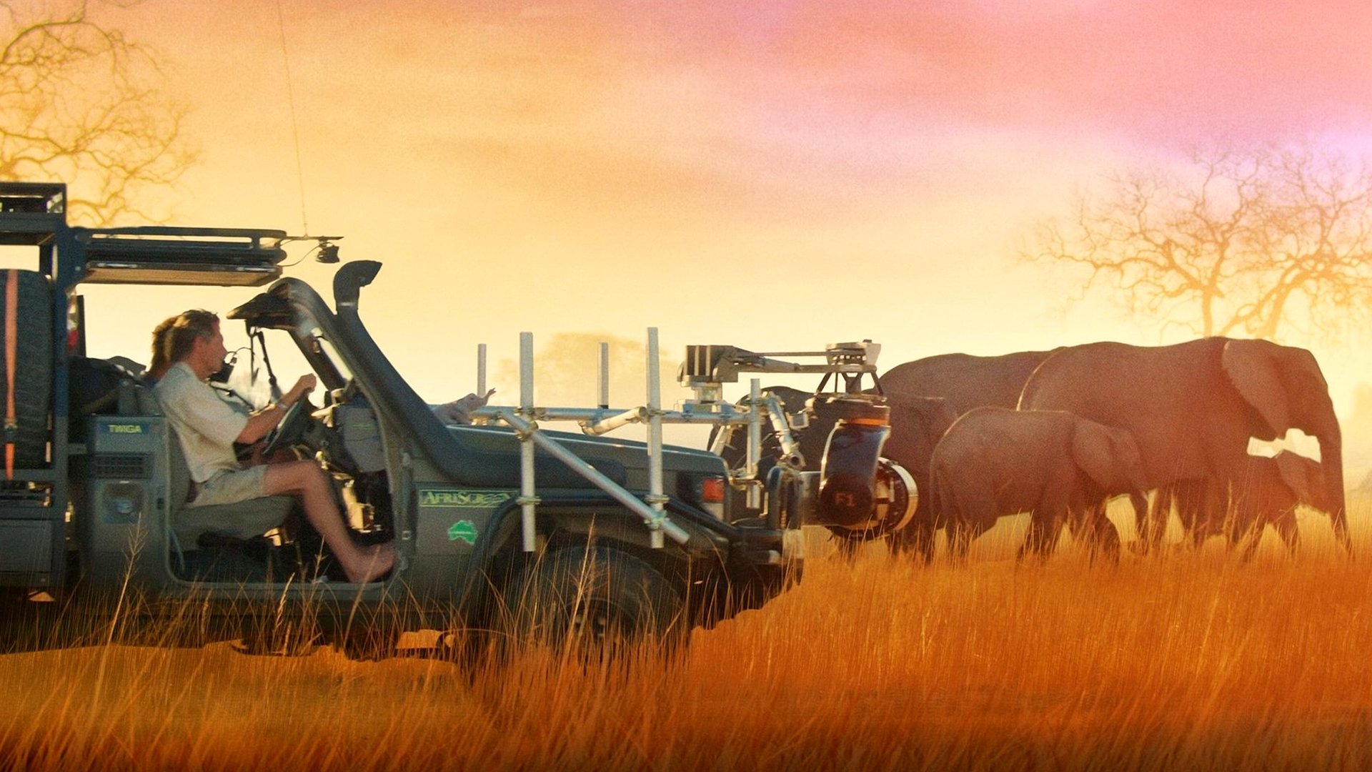 In the Footsteps of Elephant (2020)