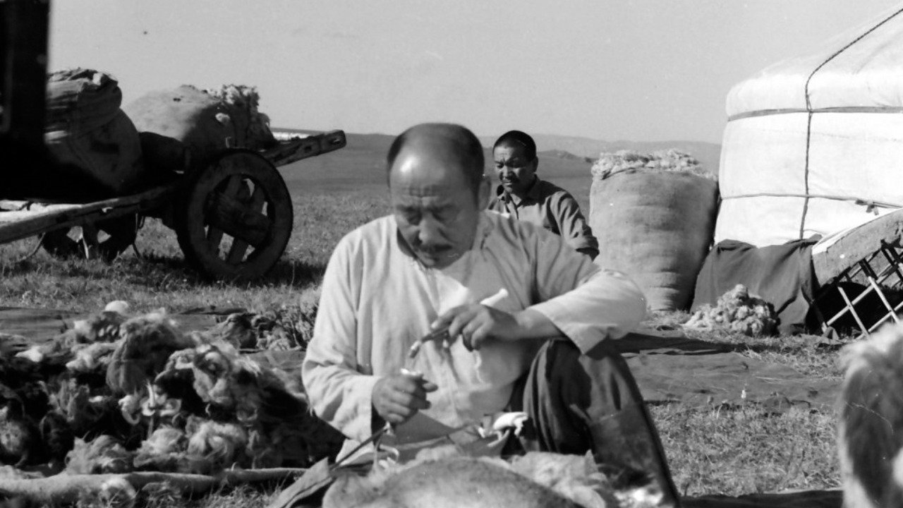 Mist of a New Grass (1977)