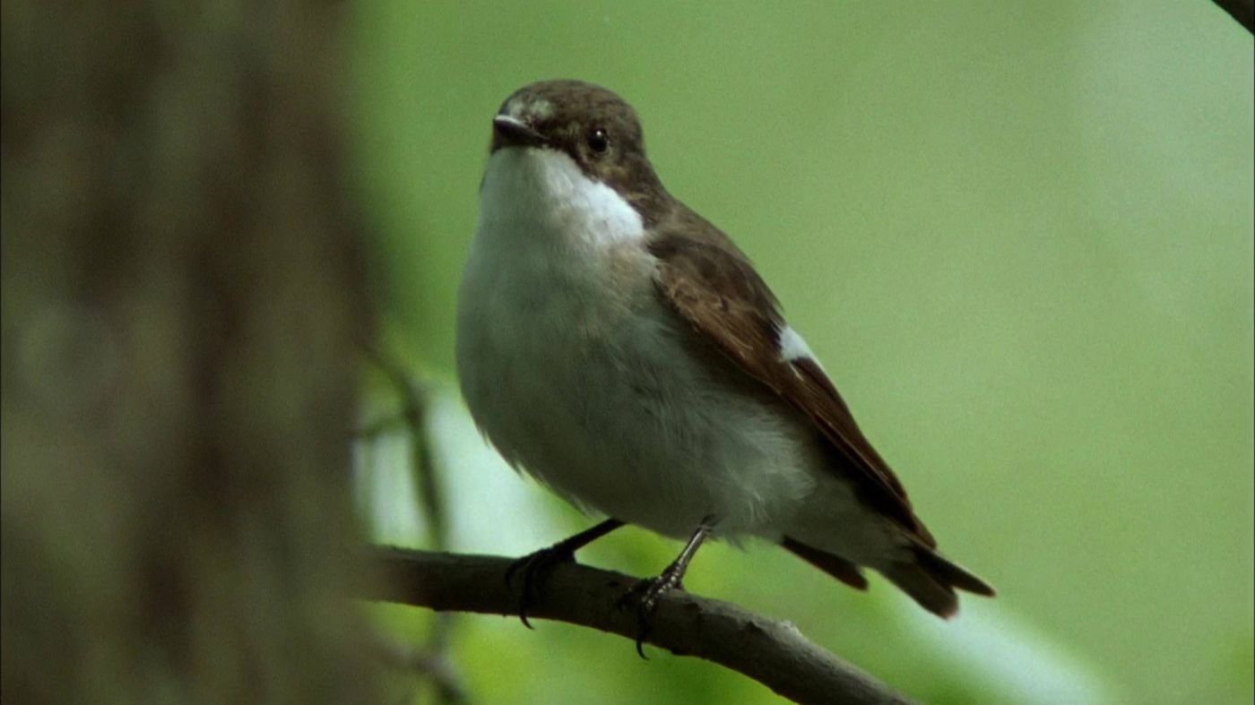 Thumbnail for Episode 10 Season 1 Episode 10