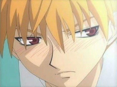 Fruits Basket
